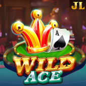 Wild Ace slot at 29jl casino